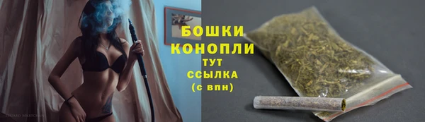 соль ск Горно-Алтайск