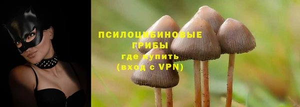 jwh Михайловск