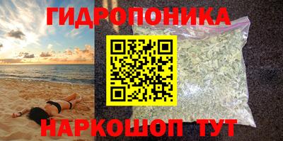 дмт Будённовск