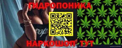 мяу мяу мука Бугуруслан