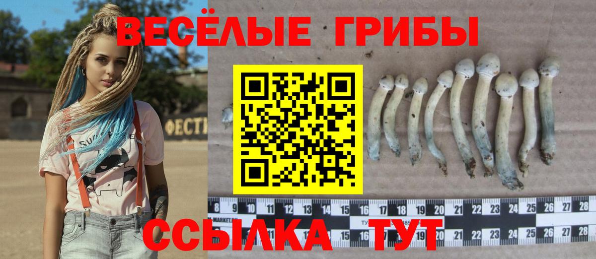 Галлюциногенные грибы ЛСД  Псилоцибиновые грибы ЛСД  Вход с VPN  Геленджик 