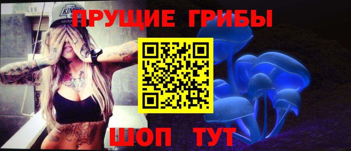 Псилоцибиновые грибы Psilocybine cubensis Геленджик